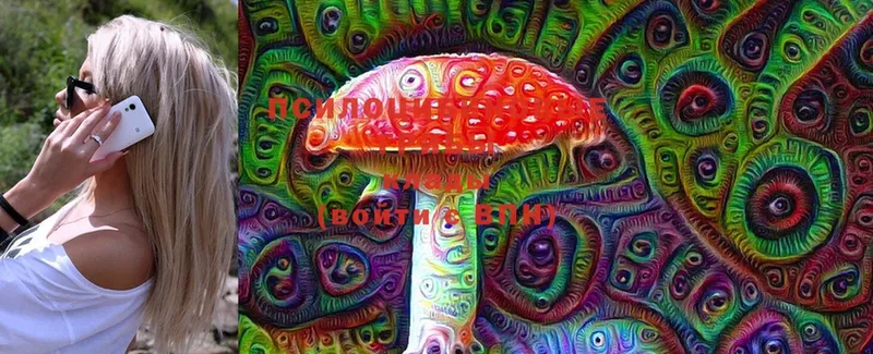 Псилоцибиновые грибы Psilocybine cubensis  Феодосия 